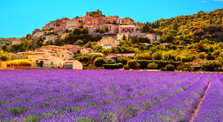 Frankreich Provence Ort mit Lavendelfeldern Foto iStock StevanZZ.jpg